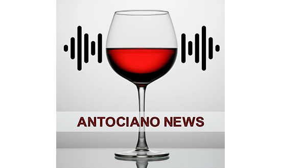Te presento Antociano News