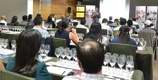 Cata a ciegas DO Rioja (Crianza)