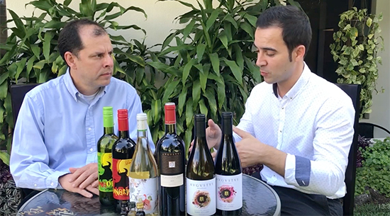 Entrevista a Gerente Comercial de Cellers Avgvstvs Forvm
