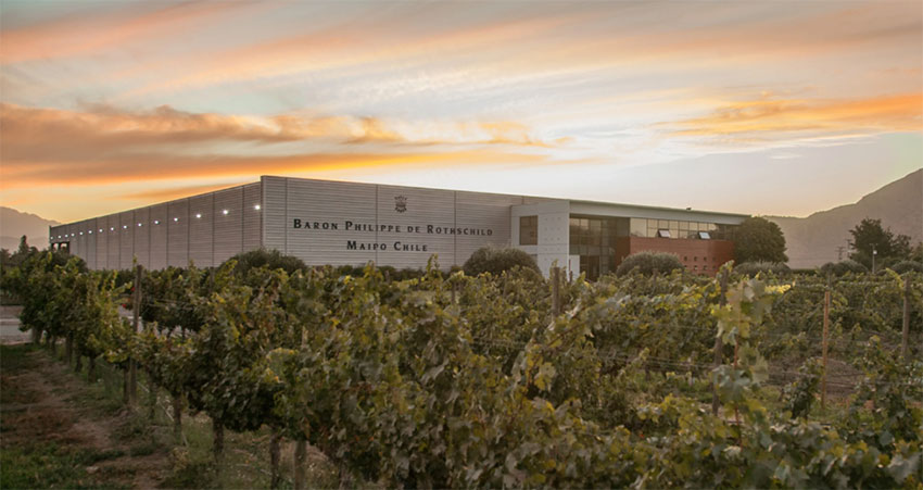 El encuentro de dos mundos: Barón Philippe de Rothschild Chile y sus vinos
